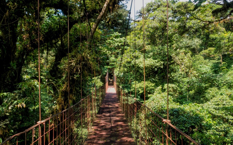 Le Costa Rica c'est aussi l'occasion de découvrir des lieux exceptionnels sur terre, ici un pont suspendu en plein coeur de la forêt tropicale © Charlie Hervier
