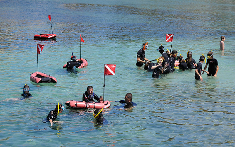 Les plongeurs se retrouvent autour des drapeaux pour échanger sur ce qu'ils ont pu voir dans l'eau ©Yvan Chocoloff