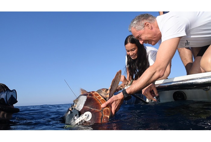 Olivier Calcagno, directeur général du musée océanographique et Rana, sa marraine, remettent la tortue à l'eau. ©F.Pacorel
