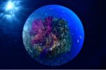 Championnat de France de photo sous-marine : le palmarès 2019