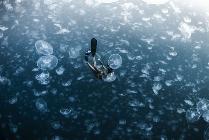 Un apnéiste tombe dans un océan rempli de méduses à Raja Ampat, en Papouasie occidentale. 3ème place portfolio - Alex kydd © Alex Kydd - Ocean photography awards