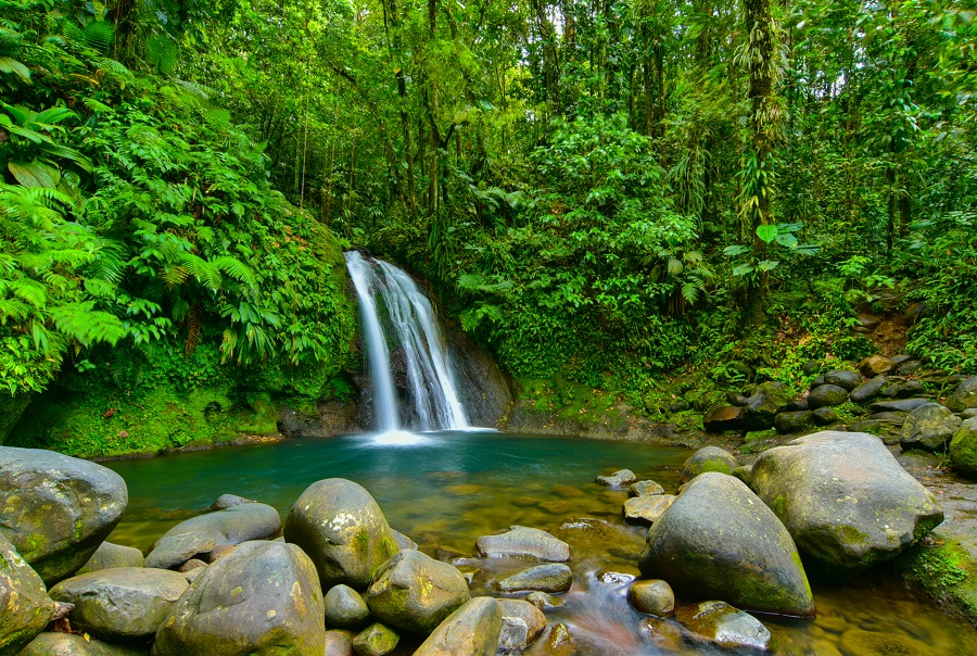 Sur Basse-Terre, cascades et rivières jalonnent les randonnées. Un havre de fraîcheur reposante dans la moiteur tropicale. © Comité de tourisme des Îles de Guadeloupe