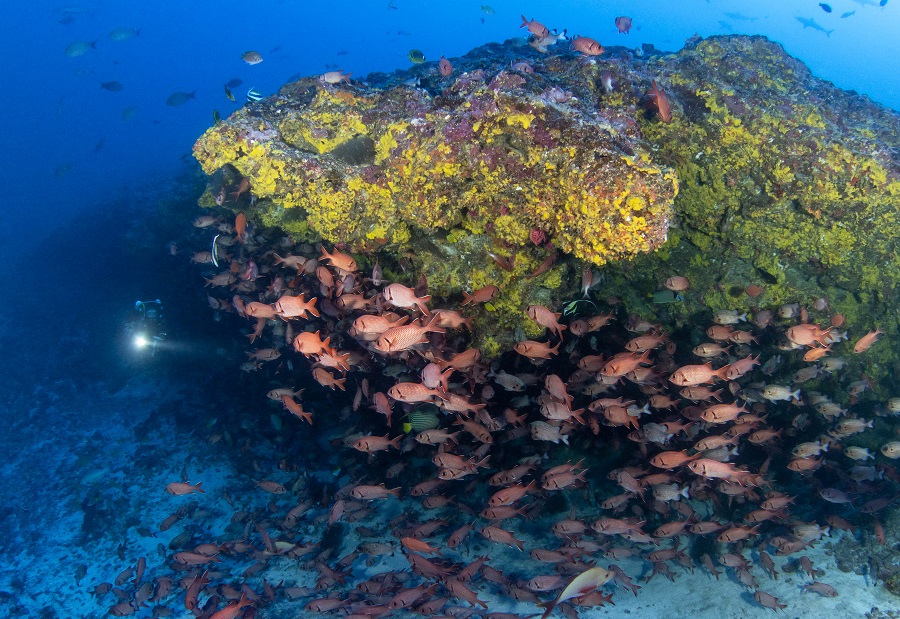 La Polynésie, une destination idéale aussi pour les plongeurs tek ! © Bernard Beaussier