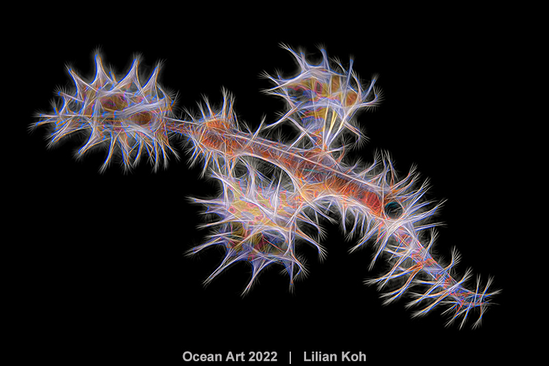 3ème prix - Art sous-marin © Lilian Koh - Ocean Art 2022