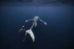Journée mondiale des océans - Palmarès du concours photo des Nations Unies