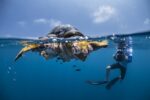 Journée mondiale des océans - Palmarès du concours photo des Nations Unies