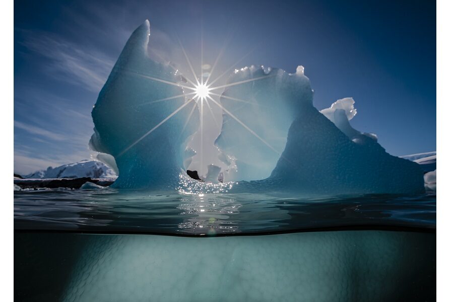 Finaliste - Portfolio © Renee Capozzola / Ocean photographer of the year